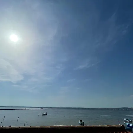 Oasis Cove, Maisons Au Bord De L'eau, De 別荘